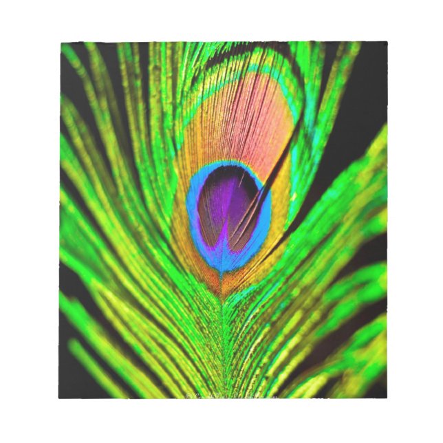 Bloc-note Couleurs néon Peacock Feather (Devant)