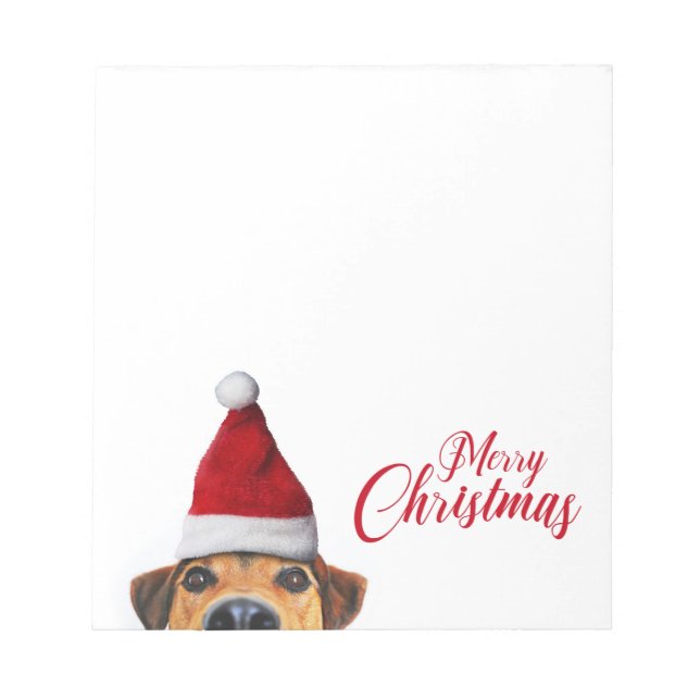 Bloc-note Curieux mignon chien drôle avec chapeau de Père No (Devant)