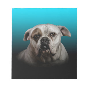 Bloc-note Cute Boxer Dog w Blue Black Gradient arrière - pla
