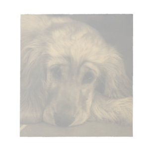 Bloc-note Cute Dog - Golden Retriever laying down