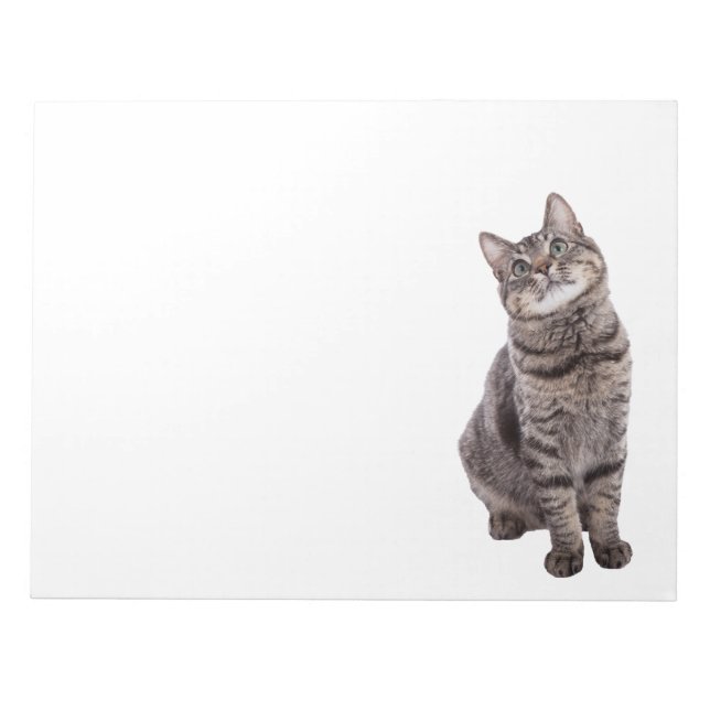 Bloc-note Cute tabby Chat (Devant)