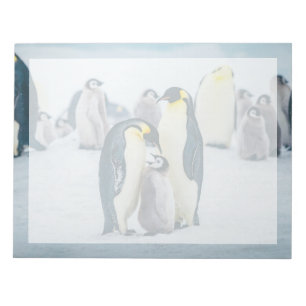 Bloc-note Cutest Baby Animals Baby Penguin Feeding