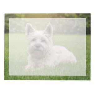 Bloc-note Cutest Baby Animals   Cairn Terrier Dog