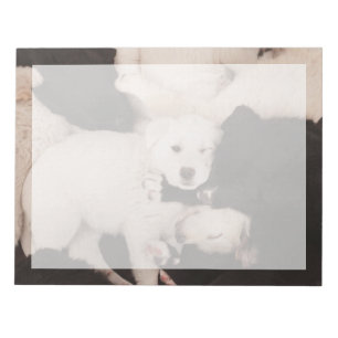 Bloc-note Cutest Baby Animals   Pile of Puppies