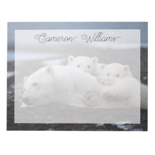 Bloc-note Cutest Baby Animals   Polar Bear Family Alaska