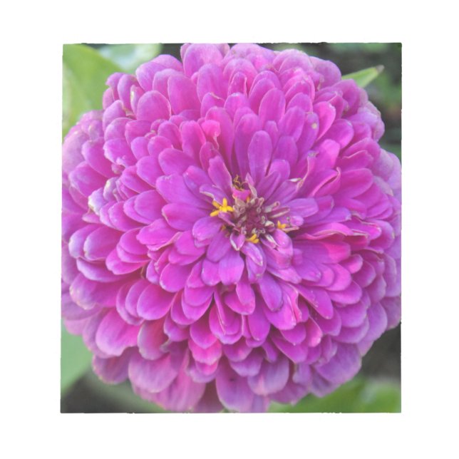 Bloc-note Dahlia violet (Devant)