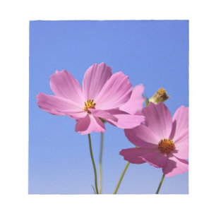 Bloc-note de belles fleurs roses serrant un ciel bleu clair