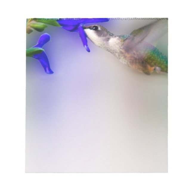 Bloc-note Déjeuner aux colibris (Devant)