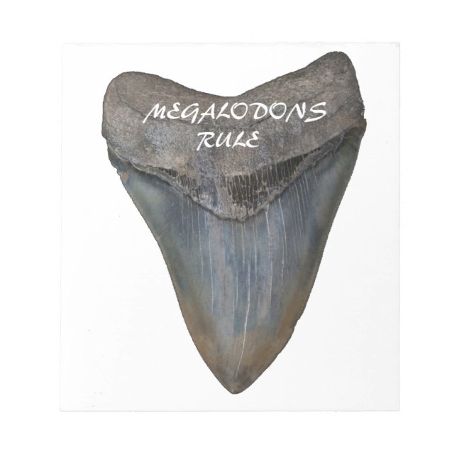 Bloc-note Dent de requin Mégalodon (Devant)