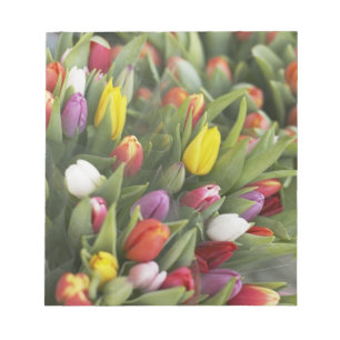 Bloc-note Des tas de tulipes colorées