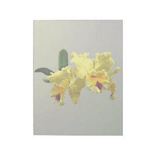 Bloc-note Deux orchidées de cattleya jaune