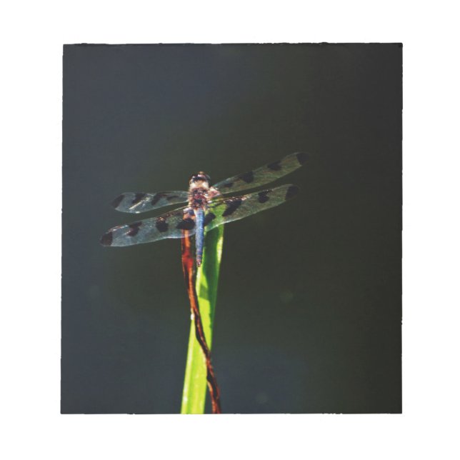 Bloc-note Dragonfly bleu et noir sur gazon vert et rouge (Devant)