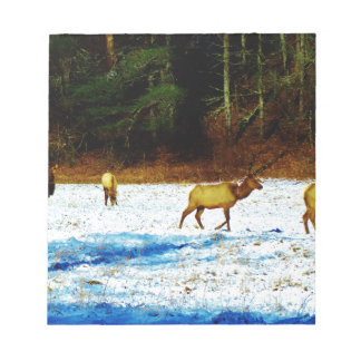 BLOC-NOTE DSC00131.JPG