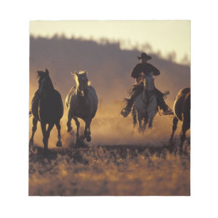 Bloc-note É.-U., États-Unis, Oregon, Seneca, Ponderosa Ranch