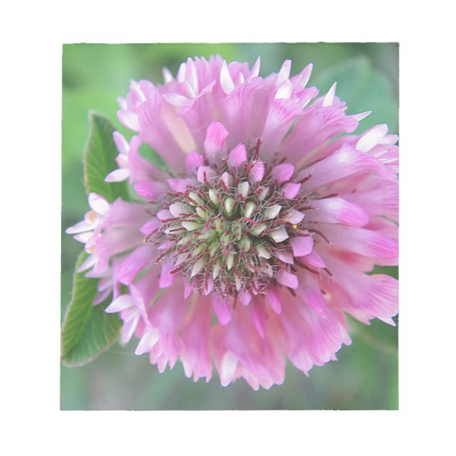 Bloc-note Einzigartige rosa Blüte (Devant)