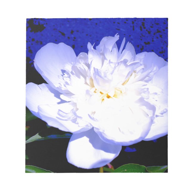 Bloc-note Elégant blanc violet bleu fleur pivoine (Devant)