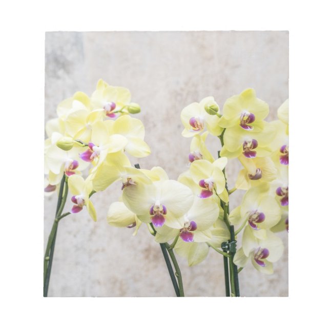 Bloc-note Elégante Crème Romantique & Orchidées Lilac (Devant)