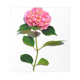 Bloc-note Elégante hydrangée rose fleurie rose
