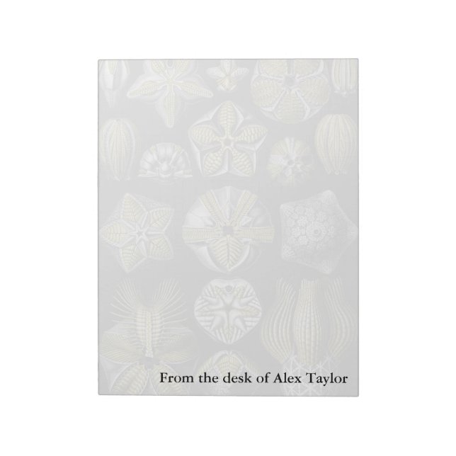 Bloc-note Ernst Haeckel Blastoidea (Tourné)