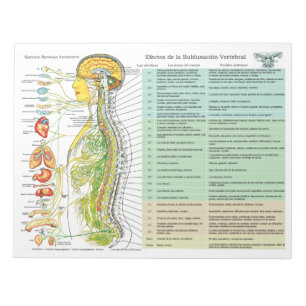 Bloc-note Espagnol ANS effets de subbluxation Tear Off Pad