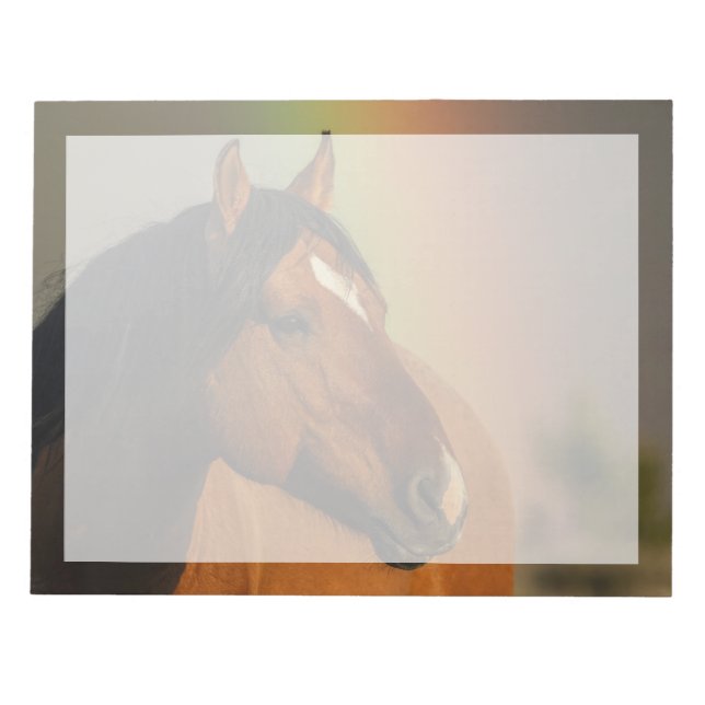 Bloc-note Étalon sauvage, Lumière dorée et Arc-en-ciel (Devant)