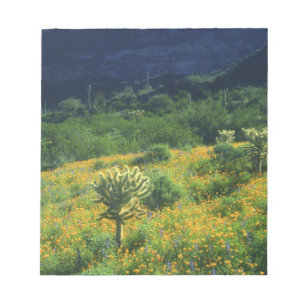 Bloc-note États-Unis, Arizona, Monument national du cactus o