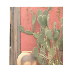 Bloc-note États-Unis, Arizona, Tucson : Presidio Historic Di