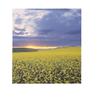 Bloc-note États-Unis, Idaho, Swan Valley. Un coucher de sole
