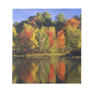 Bloc-note États-Unis, New Hampshire, Moultonborough. Arbres 