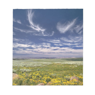 Bloc-note États-Unis, Oregon, Steens Mountain. Le printemps