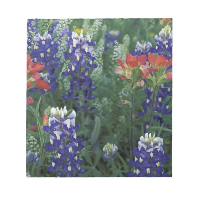 Bloc-note États-Unis, Texas Hill Country. Bluebonnets et (Devant)