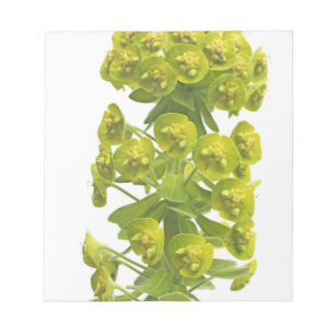 Bloc-note Euphorbia