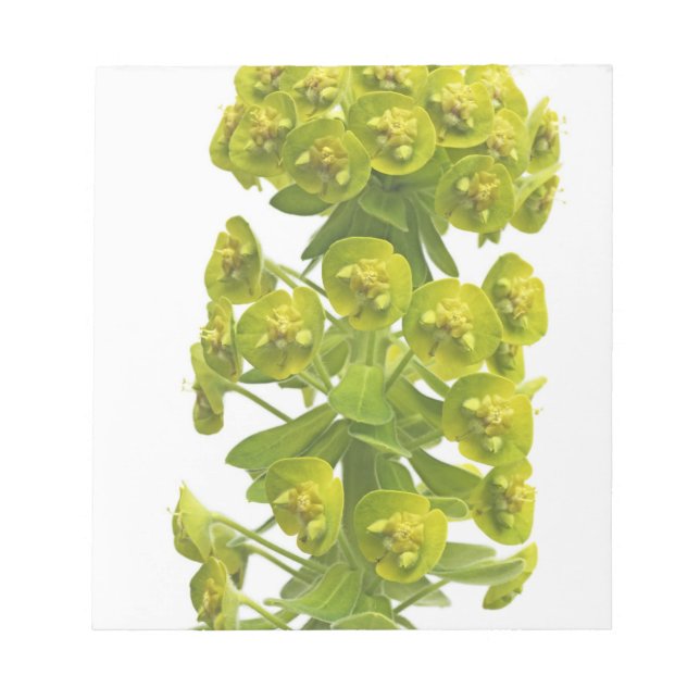 Bloc-note Euphorbia (Devant)