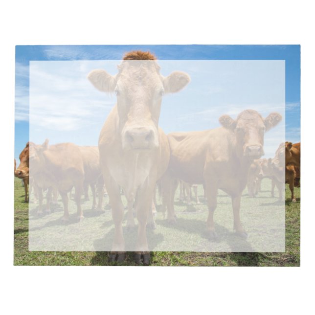 Bloc-note Farms | Brown cow (Devant)