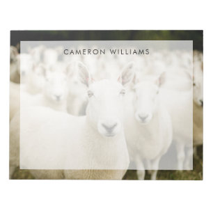 Bloc-note Fermes   Troupeau de moutons