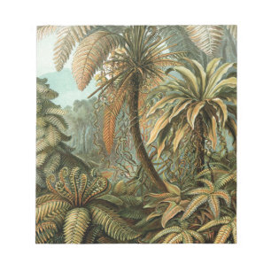 Bloc-note Ferns Palm Tree Antiquité Botanique Ferns Art