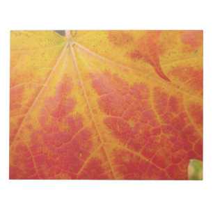 Bloc-note Feuille de Érable Rouge Photographie de Nature Abs