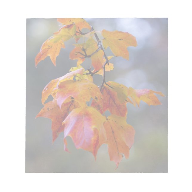 Bloc-note Feuilles d'automne (Devant)