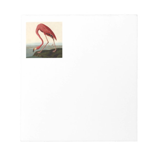 Bloc-note Flamant rose américain d'Audubon (Devant)