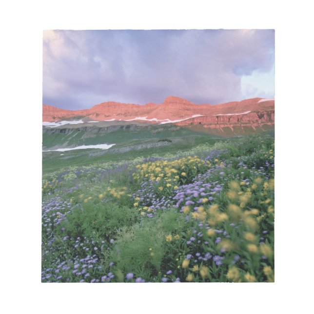 Bloc-note Fleabane pourpre (erigeron peregrinus) et Jaune (Devant)