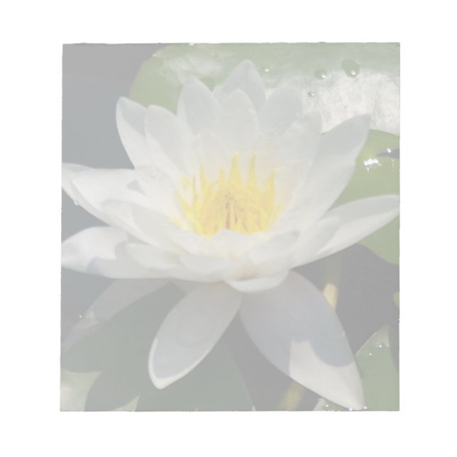 Bloc-note Fleur blanche de lotus (Devant)