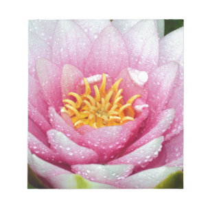 Bloc-note Fleur de lys d'eau PInk