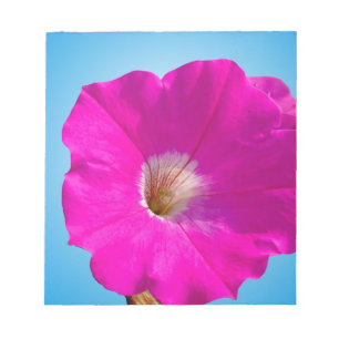 Bloc-note fleur de pétunia rose sur fond bleu.