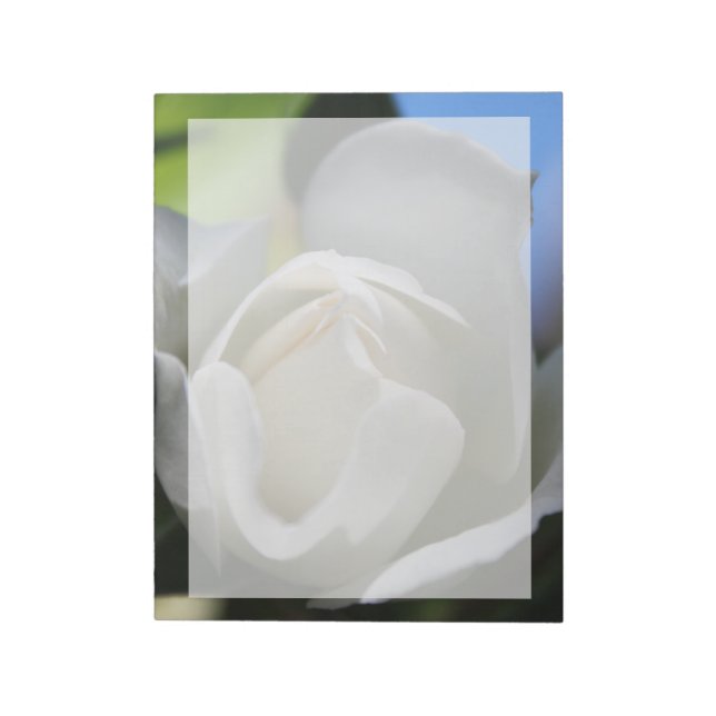 Bloc-note Fleur de rose blanche. Photographie florale. (Tourné)