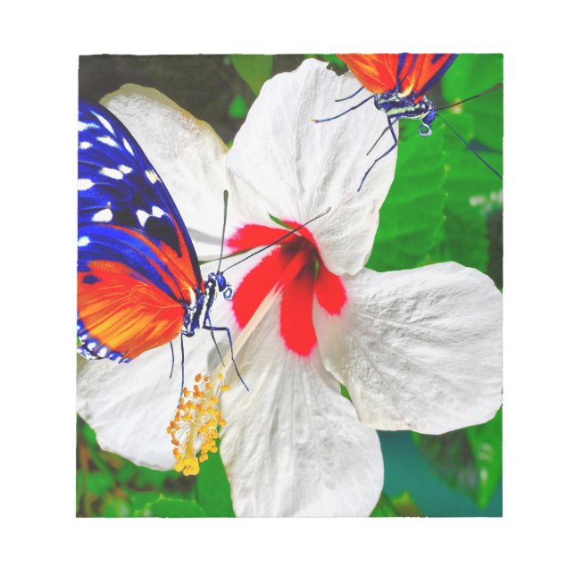 Bloc-note Fleur d'Hibiscus avec 2 papillons à ailes longues (Devant)