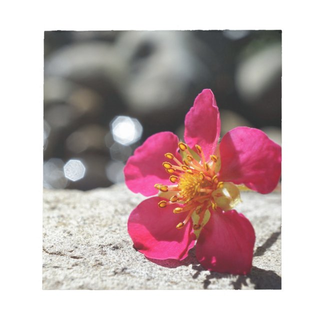 Bloc-note Fleur rose mystérieuse (Devant)