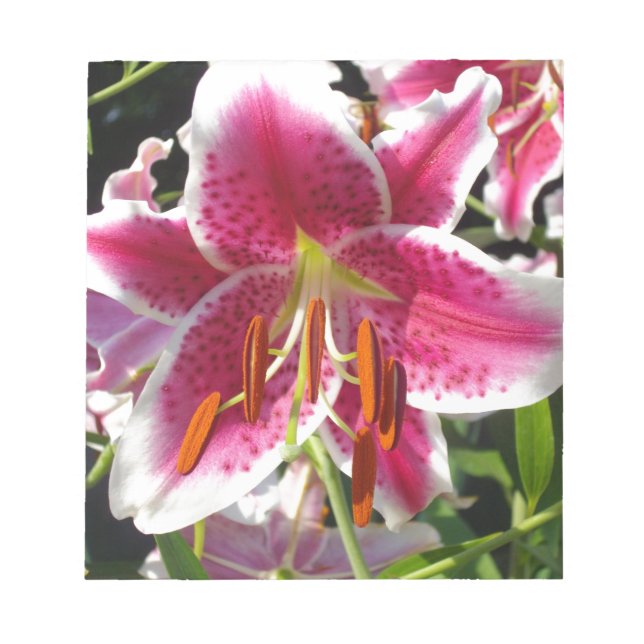 Bloc-note Fleur rose rose rose rose fleur rose fleur tropica (Devant)