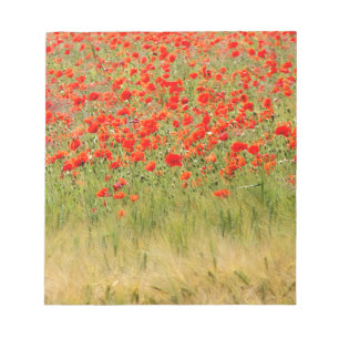 Bloc-note fleur rouge d'été