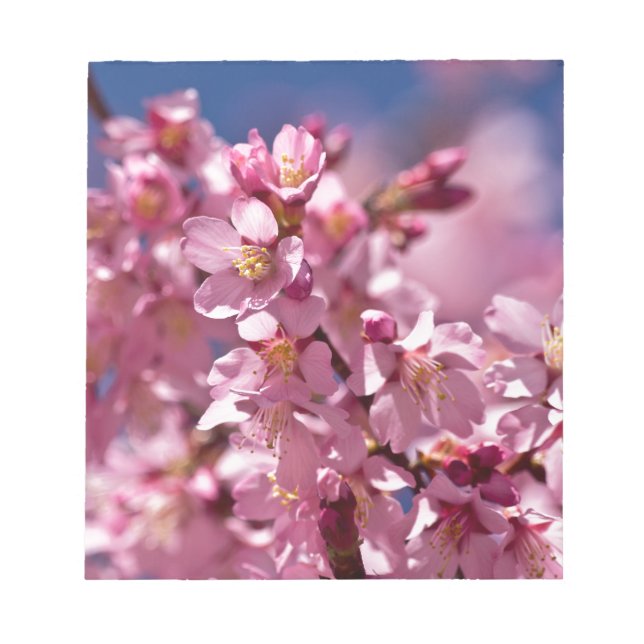 Bloc-note Fleurs de cerisier de Sakura embrassées par (Devant)