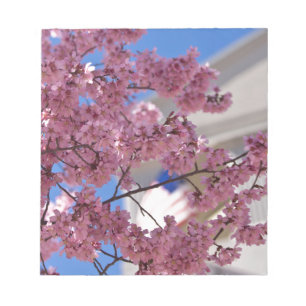 Bloc-note Fleurs de cerisier Sakura Americana